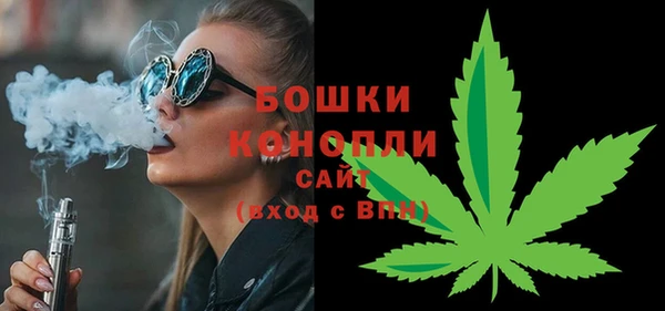 прущие грибы Нея