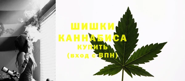 прущие грибы Нея