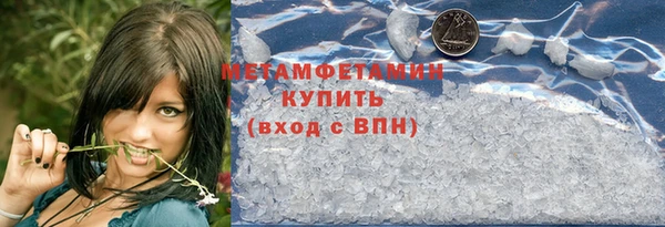 прущие грибы Нея