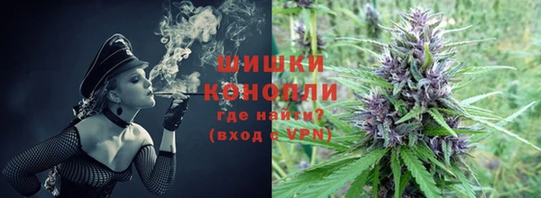 прущие грибы Нея